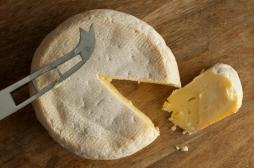 Tous les reblochons de la fromagerie Chabert rappelés après une contamination à la E-Coli 