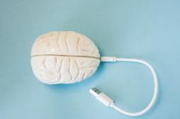 Des patients tétraplégiques surfent sur le net par la pensée grâce à un implant cérébral 