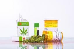 Cannabis médical : une nouvelle « mousse » plus efficace que le THC