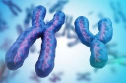 Fertilité : et si un chromosome disparu réduisait les chances de grossesse ? 