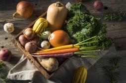 Système immunitaire : ces légumes vont vous aider à faire le plein d'énergie pour cet automne
