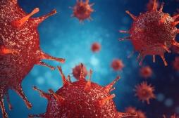 Pour la première fois, des chercheurs ont découvert où se cache le virus du sida