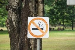 A Strasbourg, il sera bientôt interdit de fumer dans les parcs et espaces verts