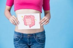 L’intestin est un organe noble et prioritaire ! 