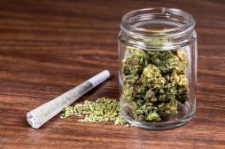 TDAH : 27 % des malades ont une relation problématique avec le cannabis
