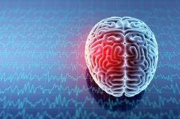 La stimulation par ultrasons pourrait aider à apprendre plus vite 