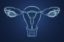 Procréation assistée et cancer : les risques pourraient être finalement liés aux causes de l'infertilité