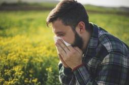 Allergies aux pollens de graminées : 81 départements en alerte rouge