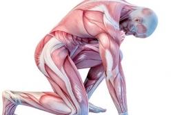 De la crampe à la déchirure, ce n’est pas la  même cause ; ni le même pronostic