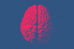 Alzheimer : certains cerveaux s'en protègent moins bien que d'autres