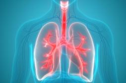 Cancer du poumon : ces signes qui doivent vous alerter