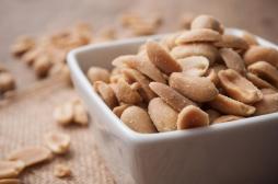 Pourquoi les cacahuètes provoquent-elles des allergies ?