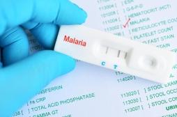 Paludisme : le Cap-Vert est le troisième pays africain à éradiquer la maladie