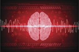 Victime d’un AVC, un Nîmois attends 8 heures aux urgences, avant de décider de rentrer chez lui. 