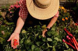 Santé mentale : jardiner améliore l’estime de soi