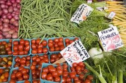 Un régime pauvre en fibres affecte le microbiote sur 4 générations