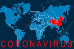Coronavirus : quels sont les VRAIS chiffres ?