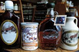 Du sirop d'érable pour lutter contre les bactéries