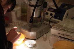 Obésité : les premiers pas de la nutrition personnalisée