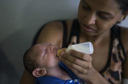 Microcéphalie : le virus Zika retrouvé dans le liquide amniotique