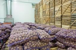 Clarebout Potatoes : l'infection inconnue touche maintenant 85 personnes