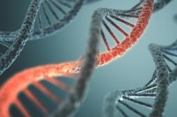 Cette femme ne ressent aucune douleur grâce à une mutation génétique