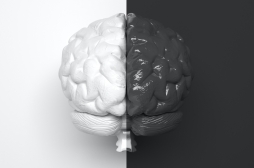 Une adolescente vit normalement avec seulement la moitié de son cerveau