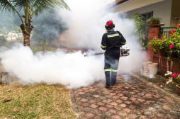 Paludisme : l'insecticide le plus puissant devient inefficace
