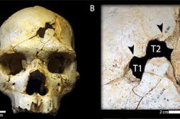 Un meurtre vieux de 430 000 ans découvert en Espagne