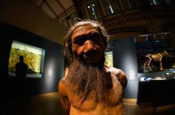 Infections : Néandertal a dopé notre système immunitaire