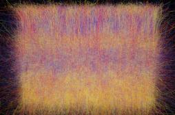 Cerveau : des chercheurs parviennent à simuler son fonctionnement