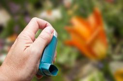 Asthme allergique : désensibiliser avec des comprimés