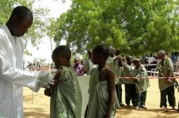Nigéria : la méningite a fait 745 victimes