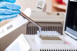 VIH : un super lymphocyte limite l'infection