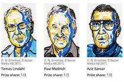 Prix Nobel de chimie : les mécanismes de réparation de l’ADN primés 