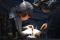 Don d'organes : le consentement présumé à partir du 1er janvier