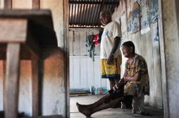 Le Brésil menacé par un virus transmis par des moucherons