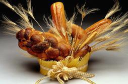 Allergies alimentaires de l'enfant : des prébiotiques pendant la grossesse pourraient diminuer les risques