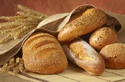 Métabolisme : le pain complet ne fait pas mieux que le pain blanc