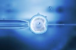 L’infertilité augmente le risque de décès chez la femme