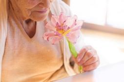 Parkinson : un test olfactif pour prédire le risque 