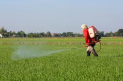Pesticides : le nombre des agriculteurs français exposés sous estimé