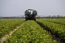 BPCO : les enfants exposés aux pesticides plus à risque à l'âge adulte