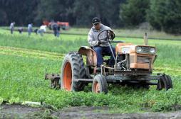 Herbicide : le Roundup n'est pas cancérigène selon l'EFSA