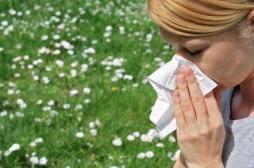 Alerte rouge aux pollens de graminées en France 