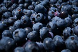 Myrtilles et vin rouge pour réduire les troubles de l'érection