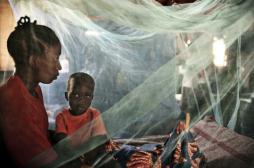 Guinée : le paludisme aggravé par l'épidémie d'Ebola  