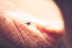 Maladie de Lyme : un vrai changement pour les patients