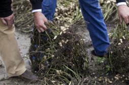 Médecins du Monde alerte sur l'état de santé des ruraux    