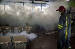 Fièvre jaune en Angola : le bilan s'aggrave avec 125 morts 